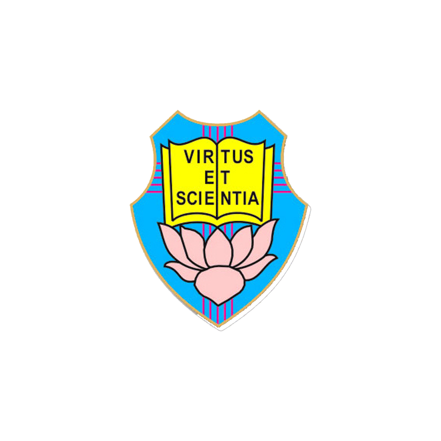 School 8